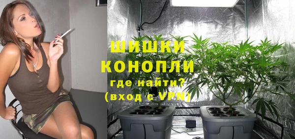 шишки Верхнеуральск