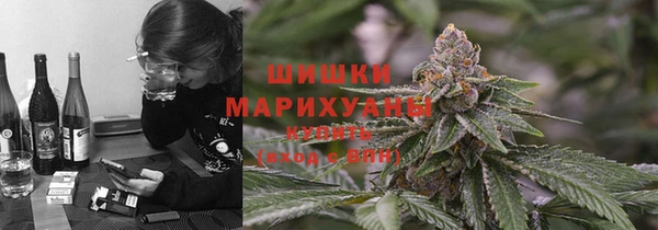 стафф Верхний Тагил