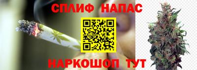 тгк Нижний Тагил