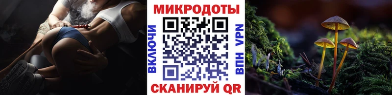 Галлюциногенные грибы Psilocybine cubensis  купить наркотик  Геленджик 