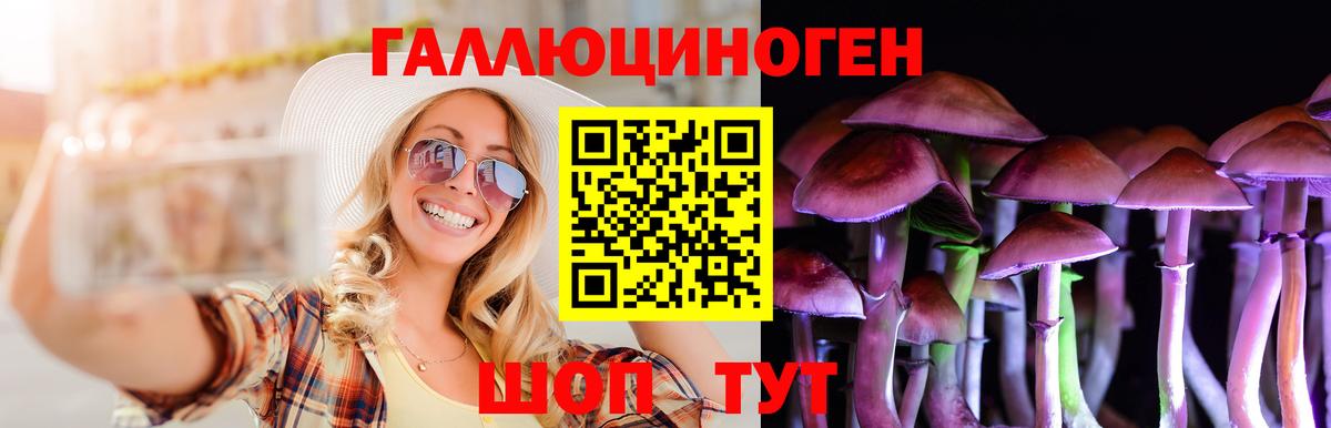 Псилоцибиновые грибы Magic Shrooms  Галлюциногенные грибы мицелий  Геленджик  Вход с VPN 