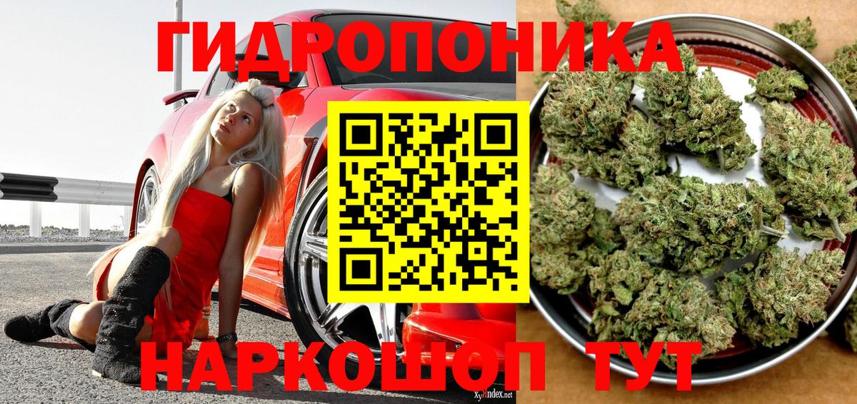 Каннабис SATIVA & INDICA  Конопля SATIVA & INDICA  Геленджик  Вход с VPN 